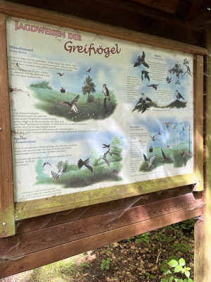Infotafel im Wald